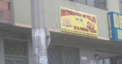 DISTRIBUIDORA DE POLLOS M Y G DISTRIBUIDORA DE POLLOS M Y G